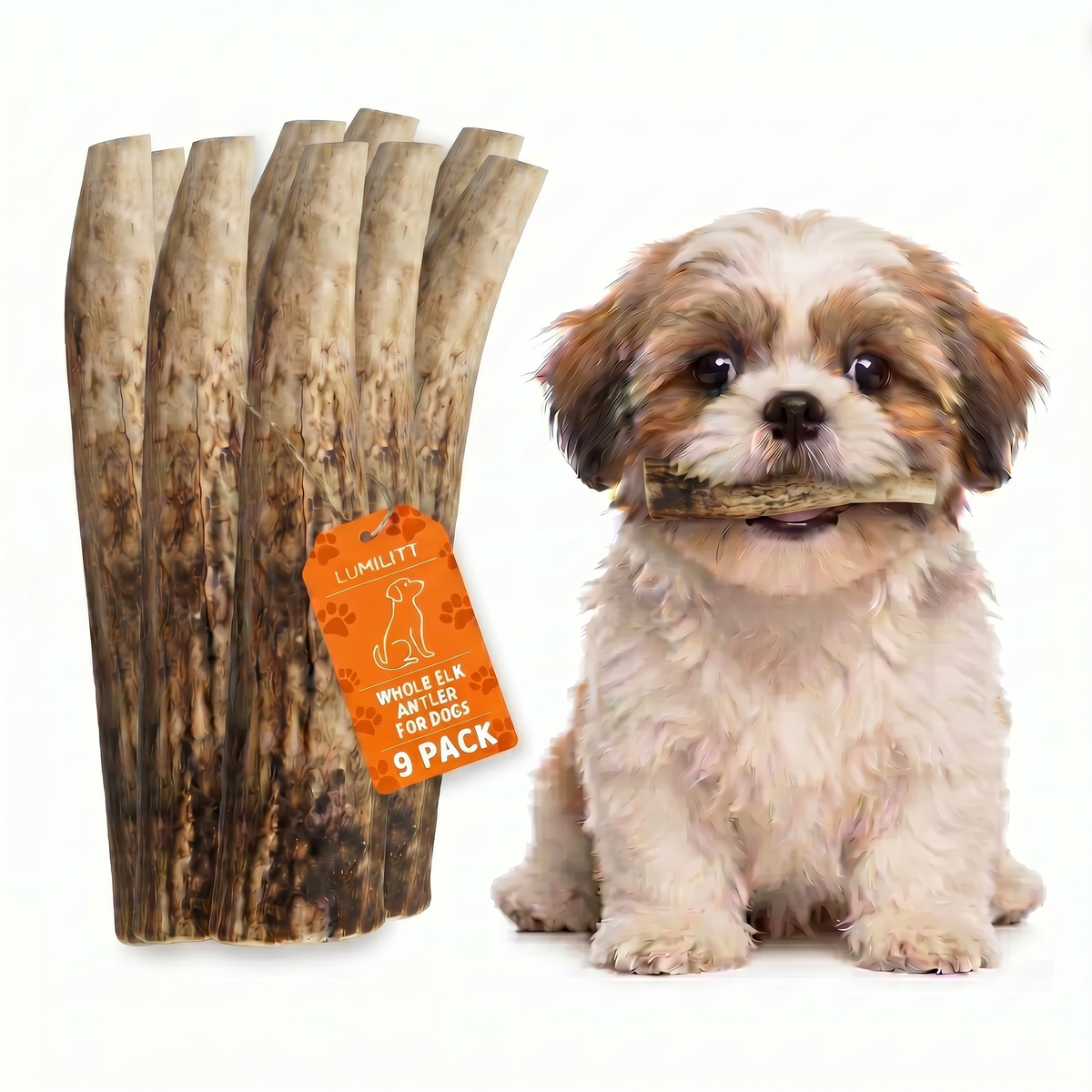 Elk Antler Chew