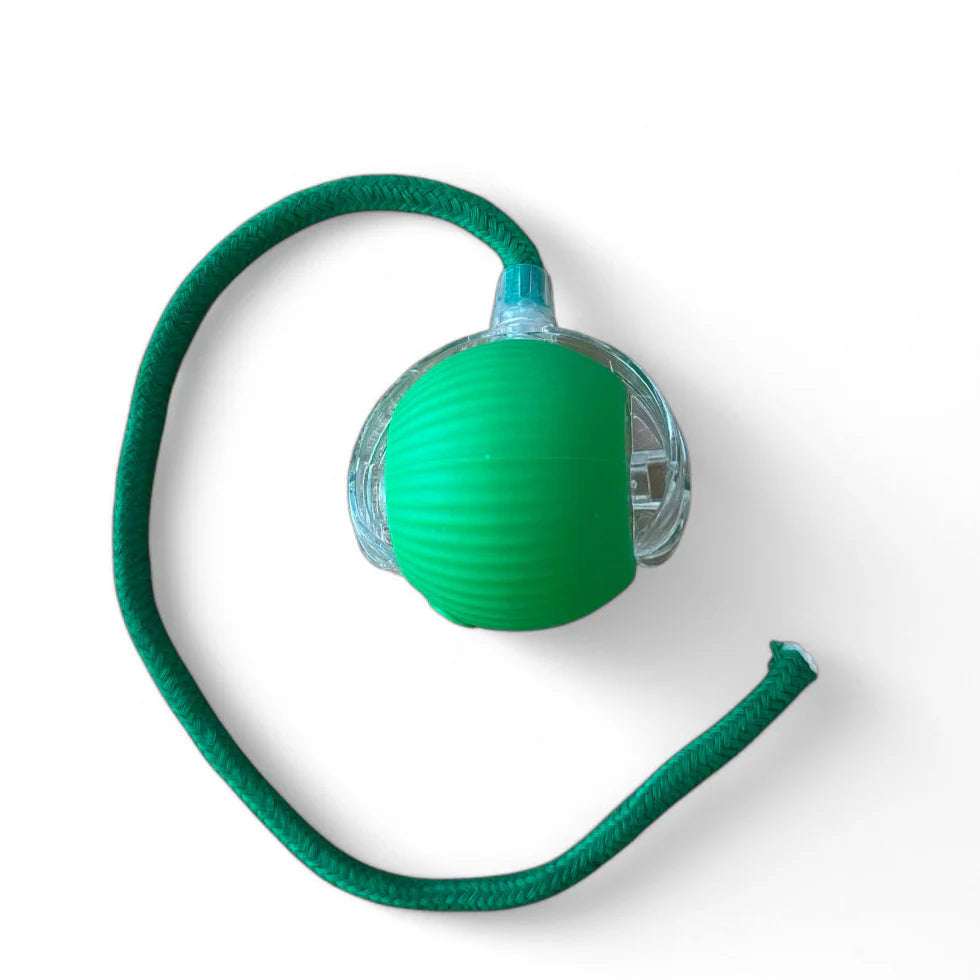 LumiLitt Magic String