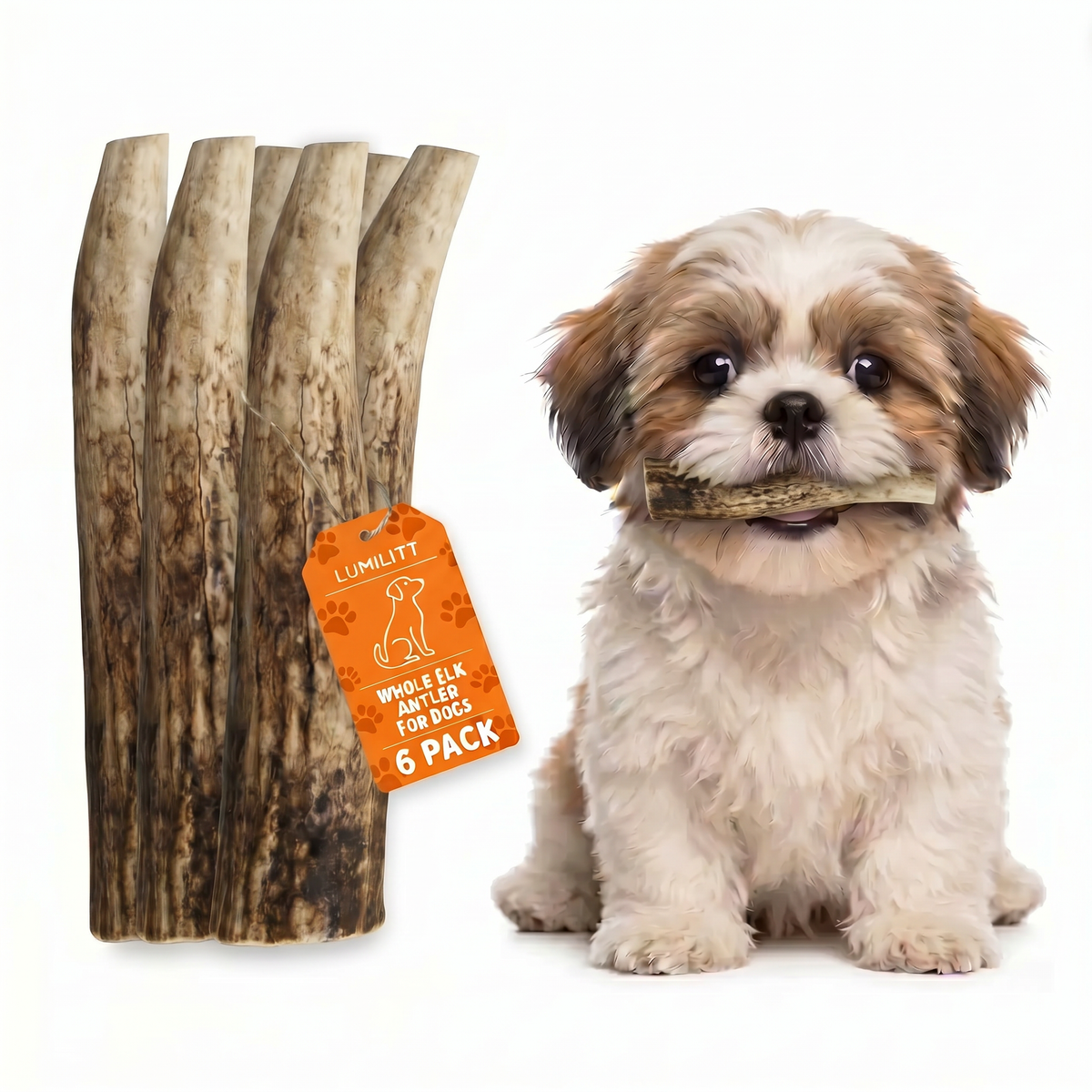 Elk Antler Chew
