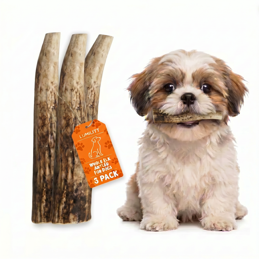 Elk Antler Chew