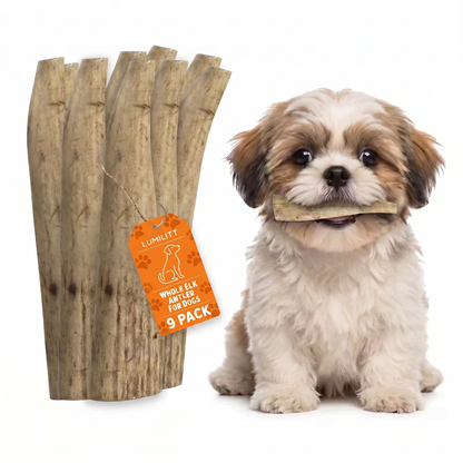 Elk Antler Chew