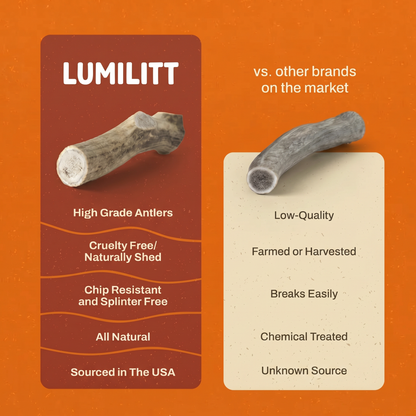 Elk Antler Chew