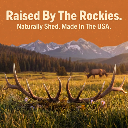 Elk Antler Chew